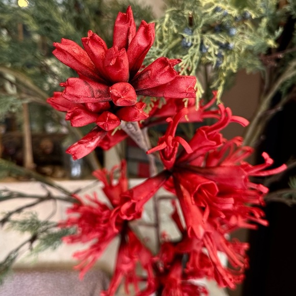 Sundance Currant Bountiful Botanicals Extra Large Floral Stem - Picture 7 of 11